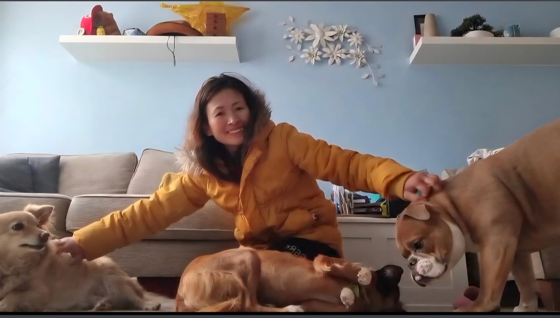 Professional pet care